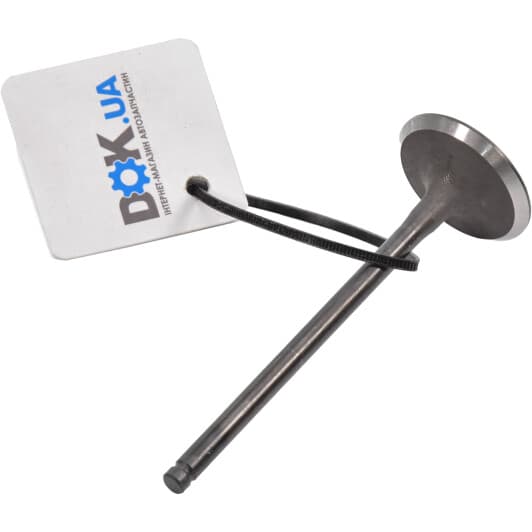 R6294/SNT Freccia Впускной клапан