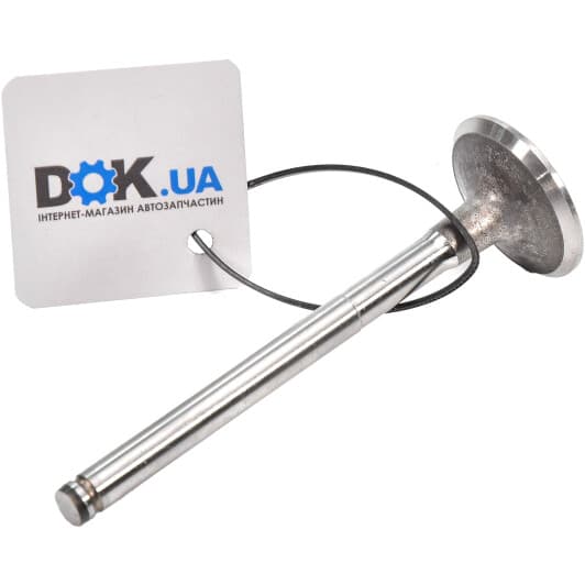 R4719/S Freccia Впускной клапан