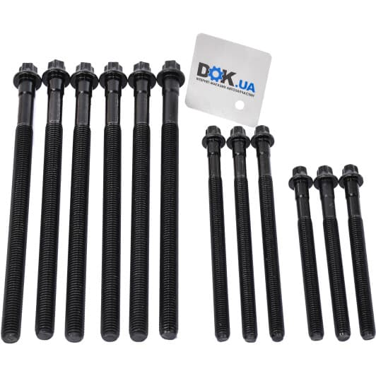 14-32314-01 Reinz Болт ГБЦ