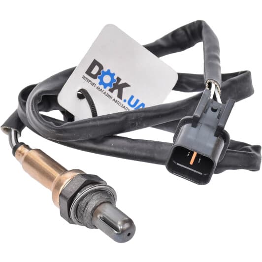 81581 Meat & Doria Лямбда-зонд