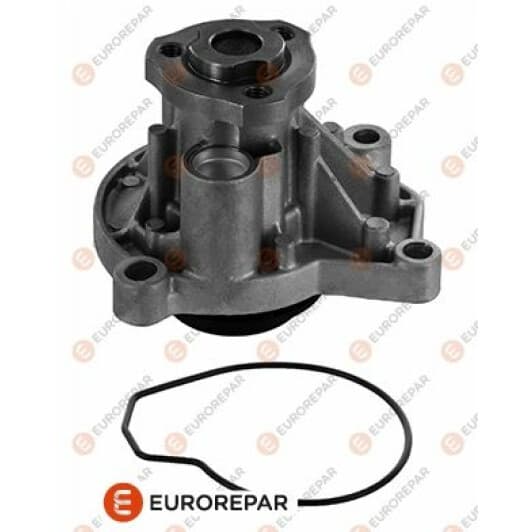 1623109080 Eurorepar Помпа