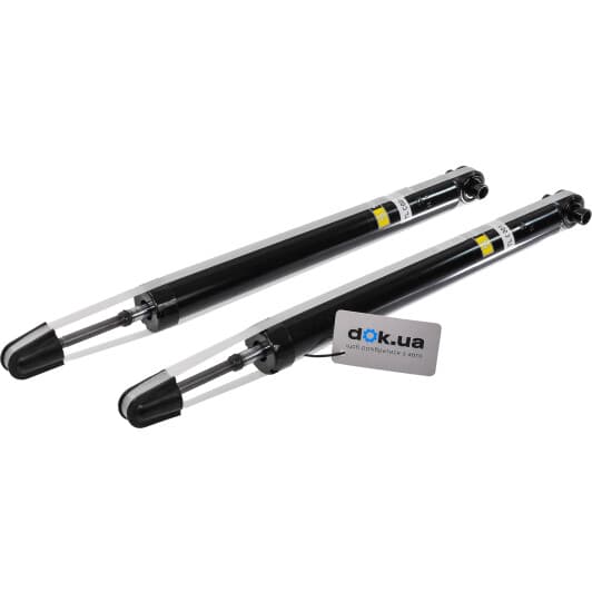 TL C00181.2 Starline Амортизатор