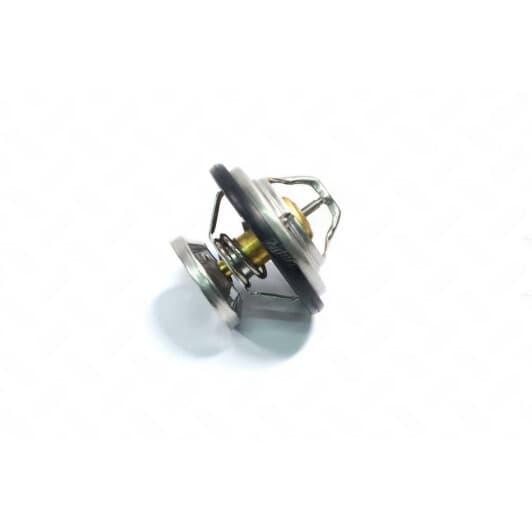 RD1517569985 Rider Термостат