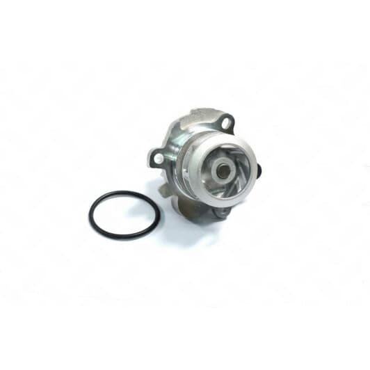 RD150165412 Rider Помпа