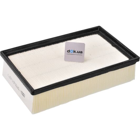 CAF100971P Champion Воздушный фильтр