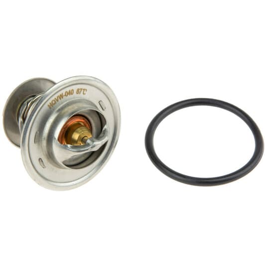 ctmvw040 NTY Термостат