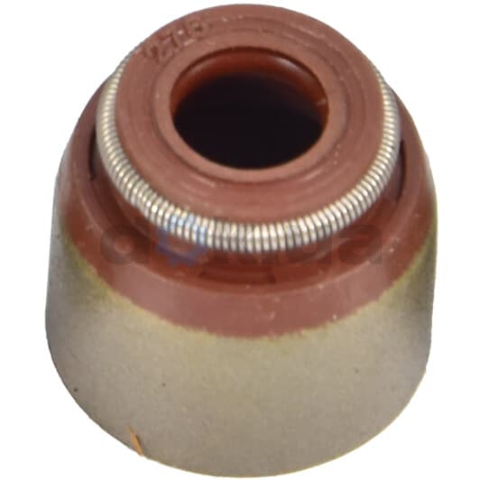 70-52738-10 Reinz Сальник клапана