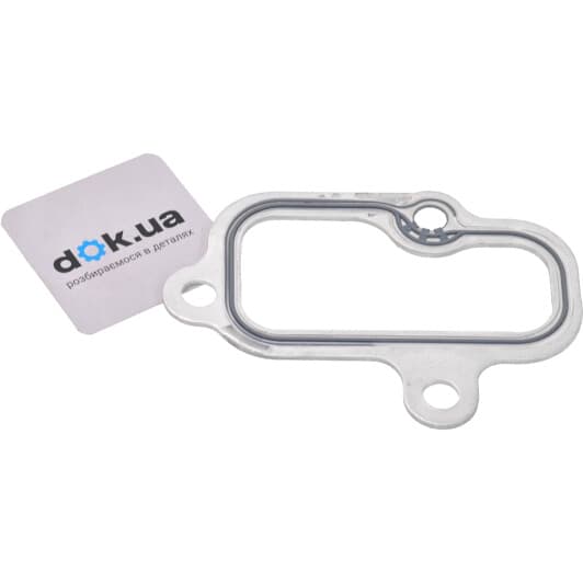 71-34179-00 Reinz Прокладка впускного коллектора