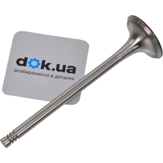 11090217001 Vika Випускний клапан