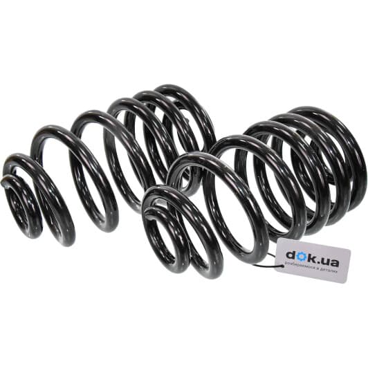 sr106tp RAISO Пружина подвески