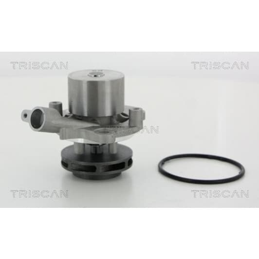 860029065 Triscan Помпа