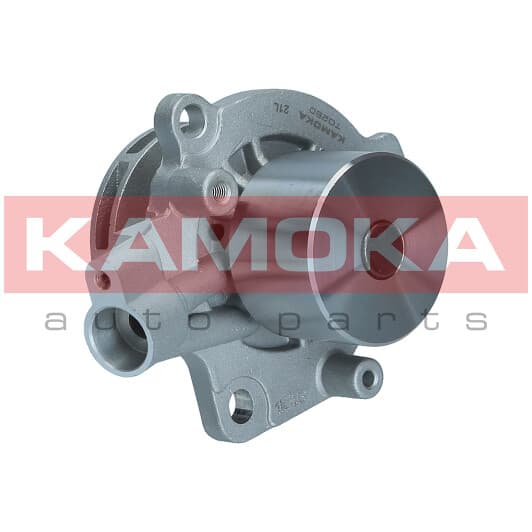 t0280 Kamoka Помпа
