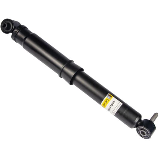rs315519 RAISO Амортизатор