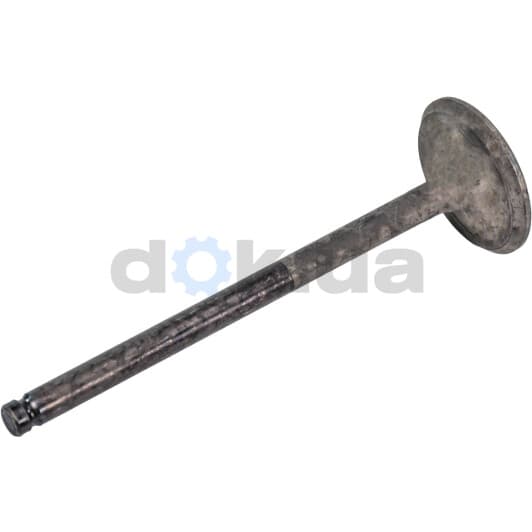 R6102/BMNT Freccia Впускной клапан