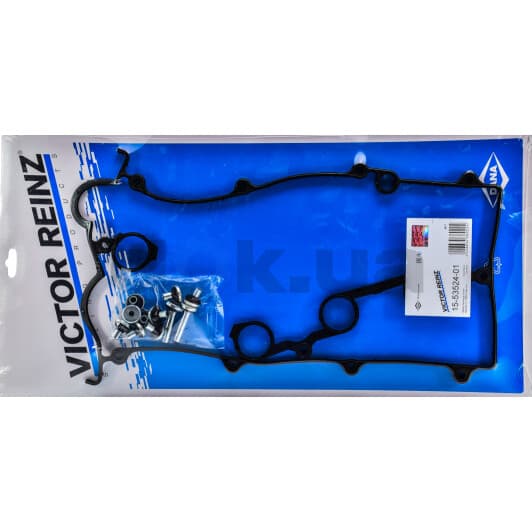 15-53524-01 Reinz Комплект прокладок клапанной крышки