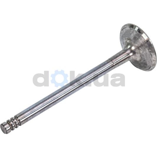 R4572/SCR Freccia Впускной клапан