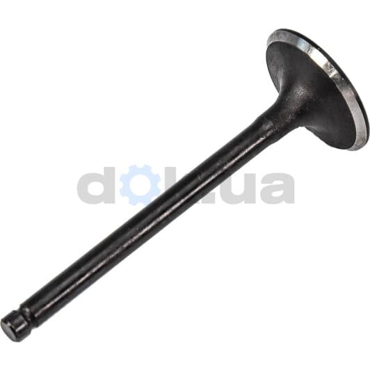 R6123/SNT Freccia Впускний клапан