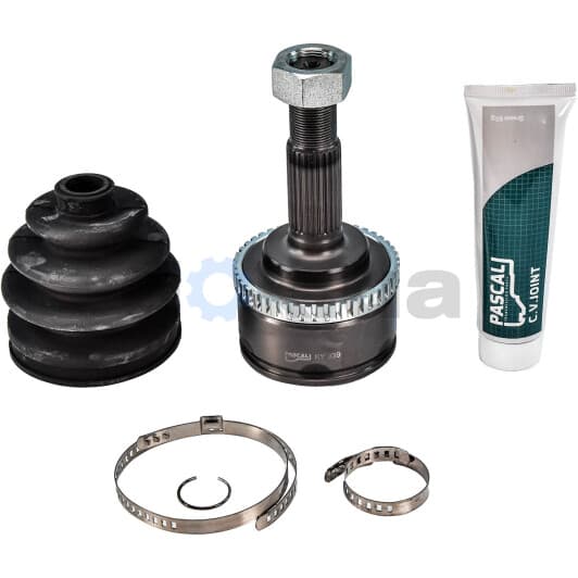 G11059PC Pascal ШРУС