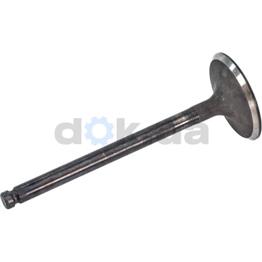 R6421/SNT Freccia Впускний клапан