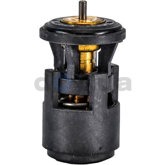 11210098901 Vika Термостат