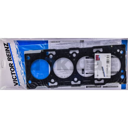 61-53395-00 Reinz Прокладка ГБЦ