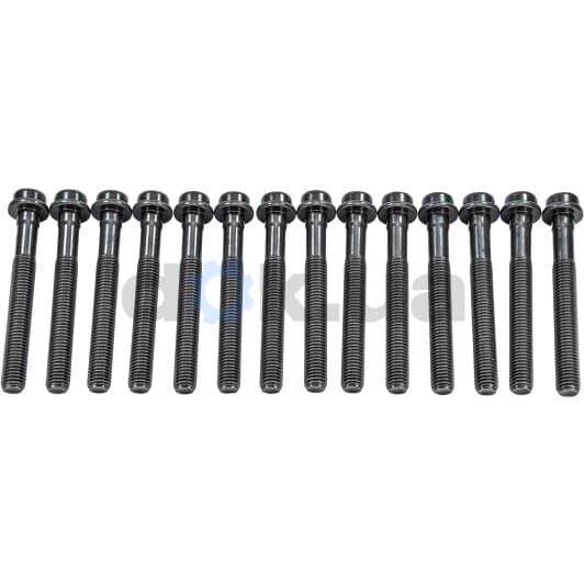 14-32028-01 Reinz Болт ГБЦ