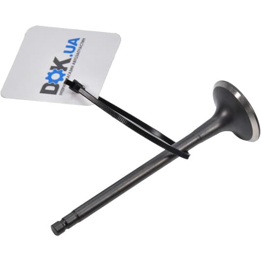 132023Z11A Nissan / Infiniti Випускний клапан