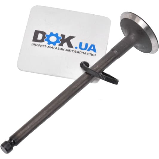 R6250/SNT Freccia Впускний клапан