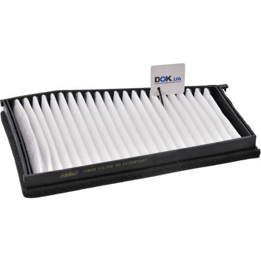 RD61J6WP2042 Rider Фильтр салона