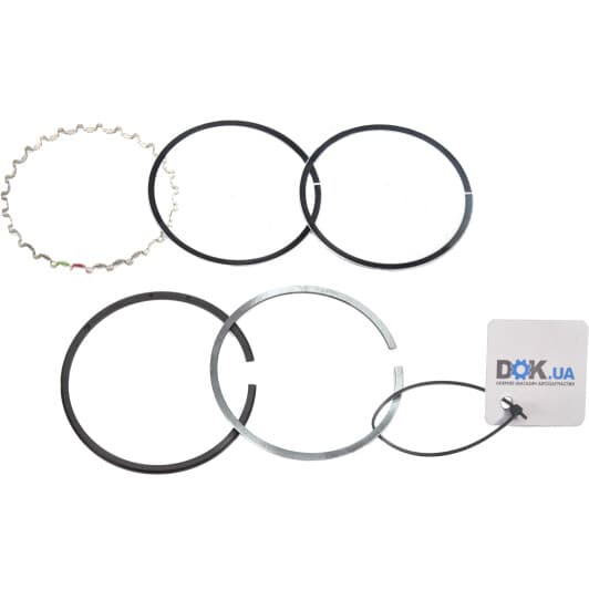 448 81 N0 Mahle Комплект поршневых колец