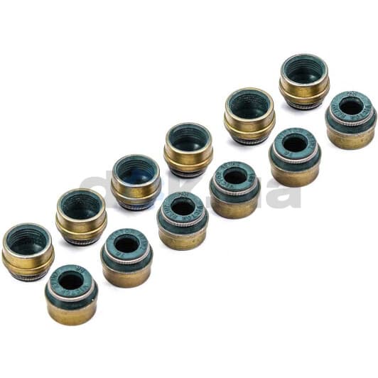 12-26058-01 Reinz Комплект сальников клапанов