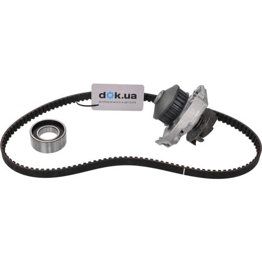 530 0205 30 INA Комплект ремня ГРМ + помпа