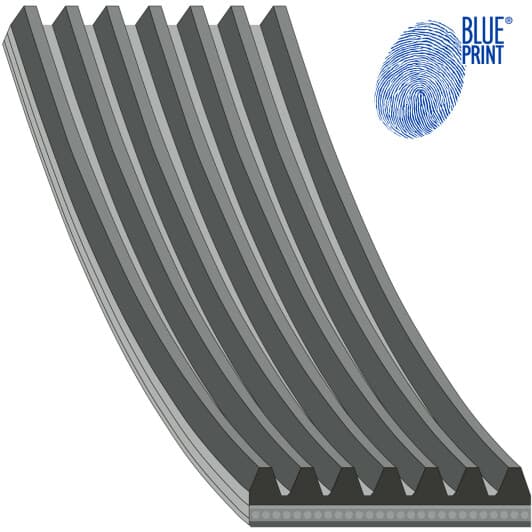 AD07R1153 Blue Print Поліклиновий ремінь