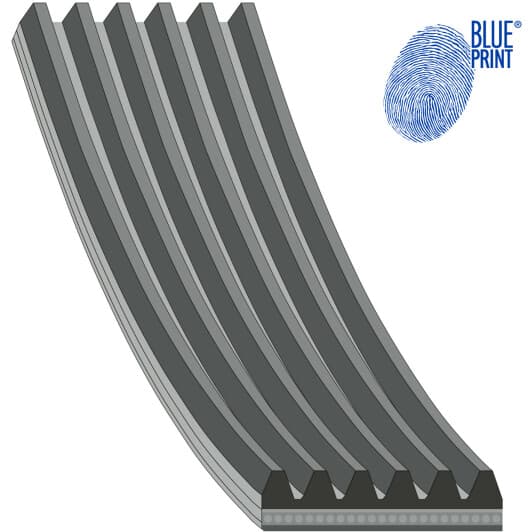 AD06R2585 Blue Print Поликлиновой ремень