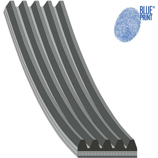 AD05S716 Blue Print Поликлиновой ремень