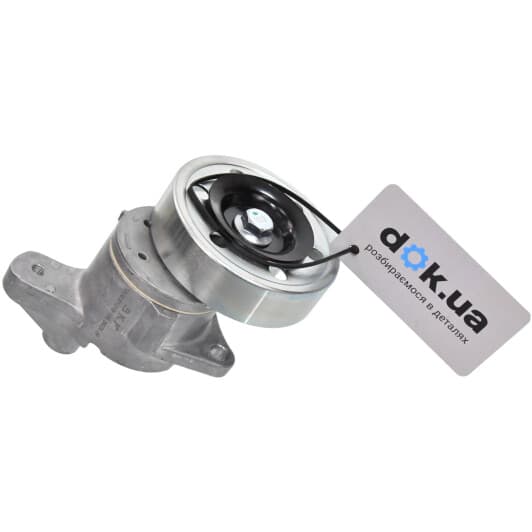 VKM 61019 SKF Натяжний ролик поліклинового ременя