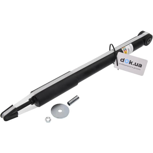 rs317337 RAISO Амортизатор