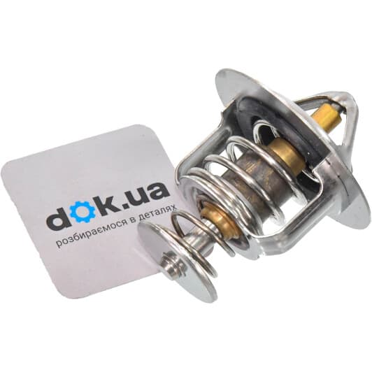 RD1517629588 Rider Термостат