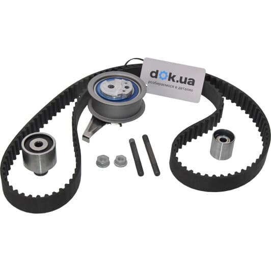 530069910 INA Комплект ременя ГРМ