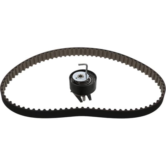 100724 Febi Комплект ременя ГРМ