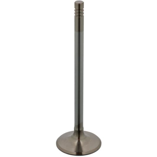 17388 Febi Впускной клапан