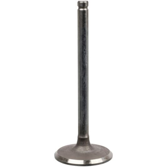 17392 Febi Впускний клапан