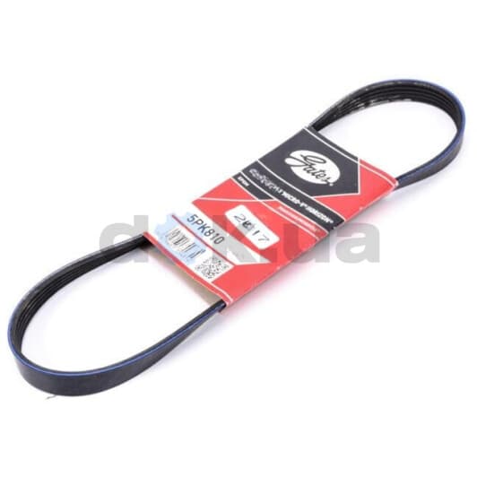 5PK810 Gates Поликлиновой ремень