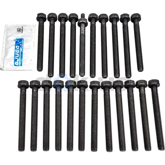 81014300 Ajusa Болт ГБЦ для SsangYong Korando