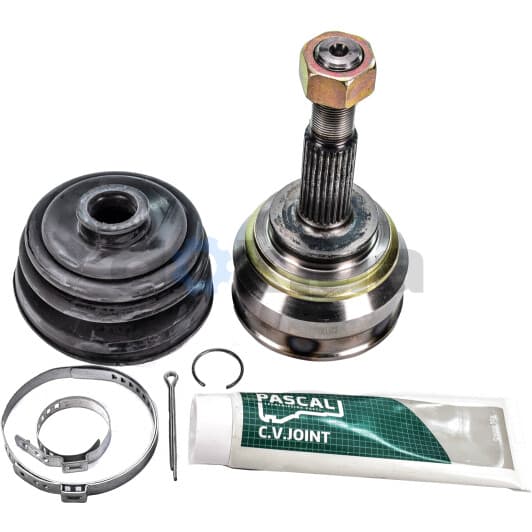 G11020PC Pascal ШРУС