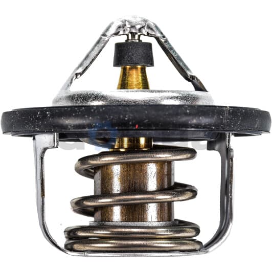 1767065D00 Suzuki Термостат