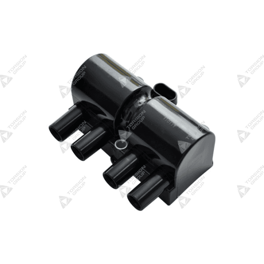 BAEQ054 Magneti Marelli Котушка запалювання