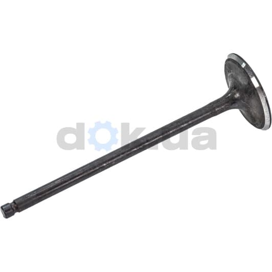 R6540/SNT Freccia Впускной клапан