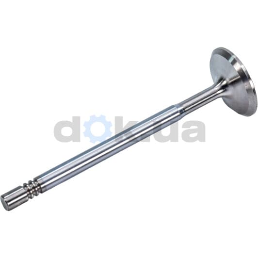 R4876/SCR Freccia Впускний клапан