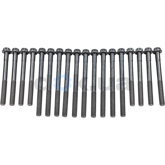 14-55028-01 Reinz Болт ГБЦ